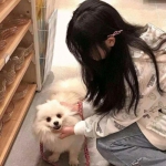 三国志幻想大陆联想版下载